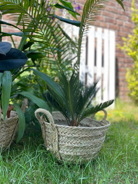 Baskets and Bags